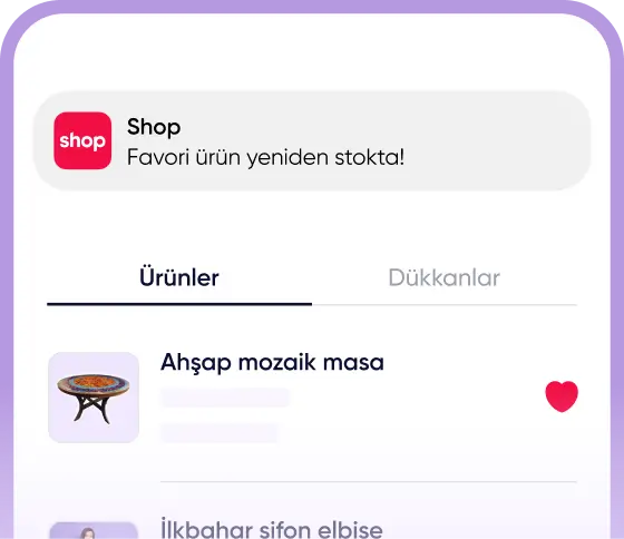 Shopier Shop